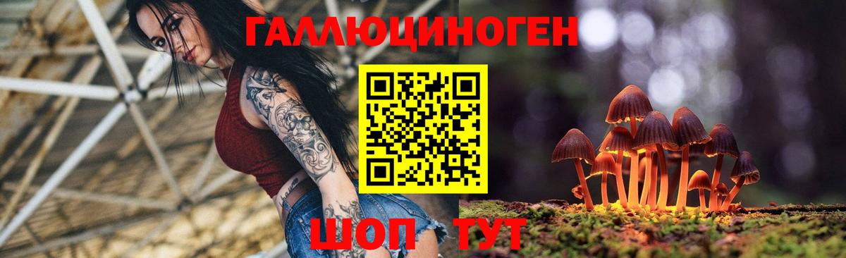 Галлюциногенные грибы мицелий  Вход с VPN  наркошоп  Амурск 